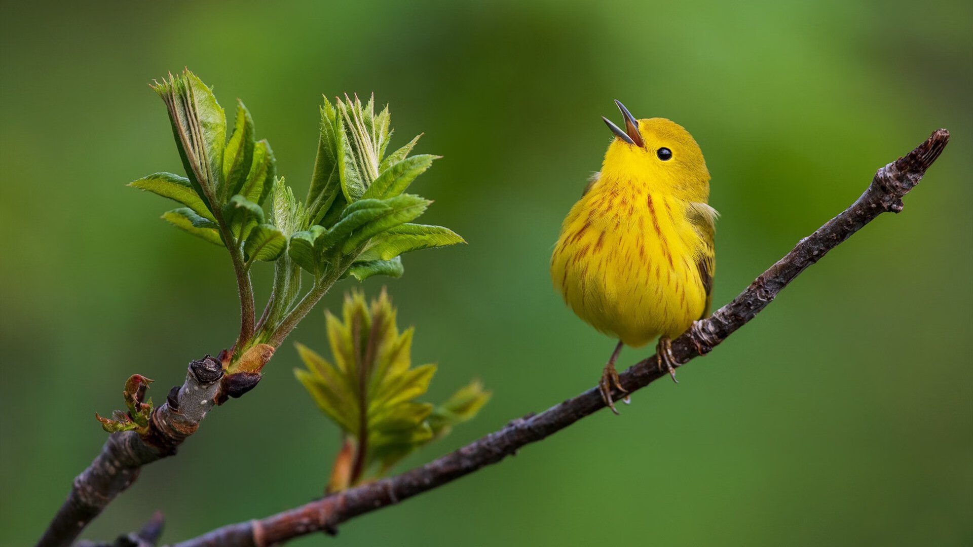 西决生死战，快船稳舵破浙江潮