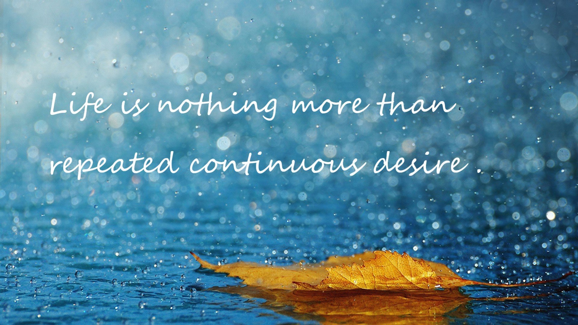 叛徒之夜，法国无名之师屠龙诺坎普，弃将巴雷拉的致命献礼