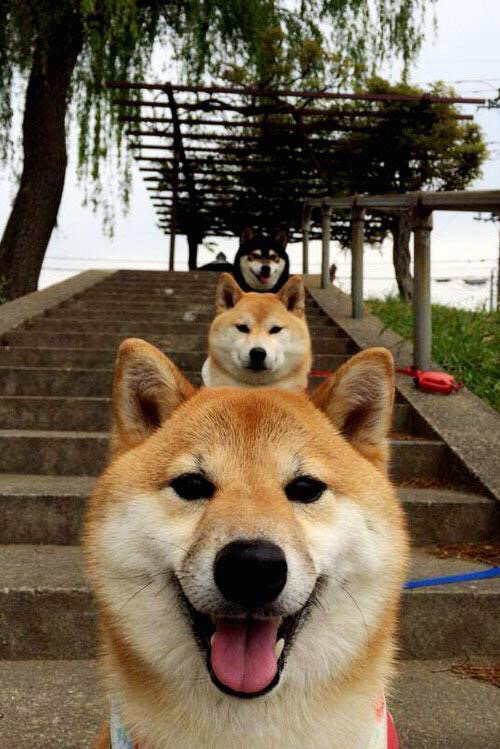 当英超遇上金字塔，一场虚构的绿茵对话