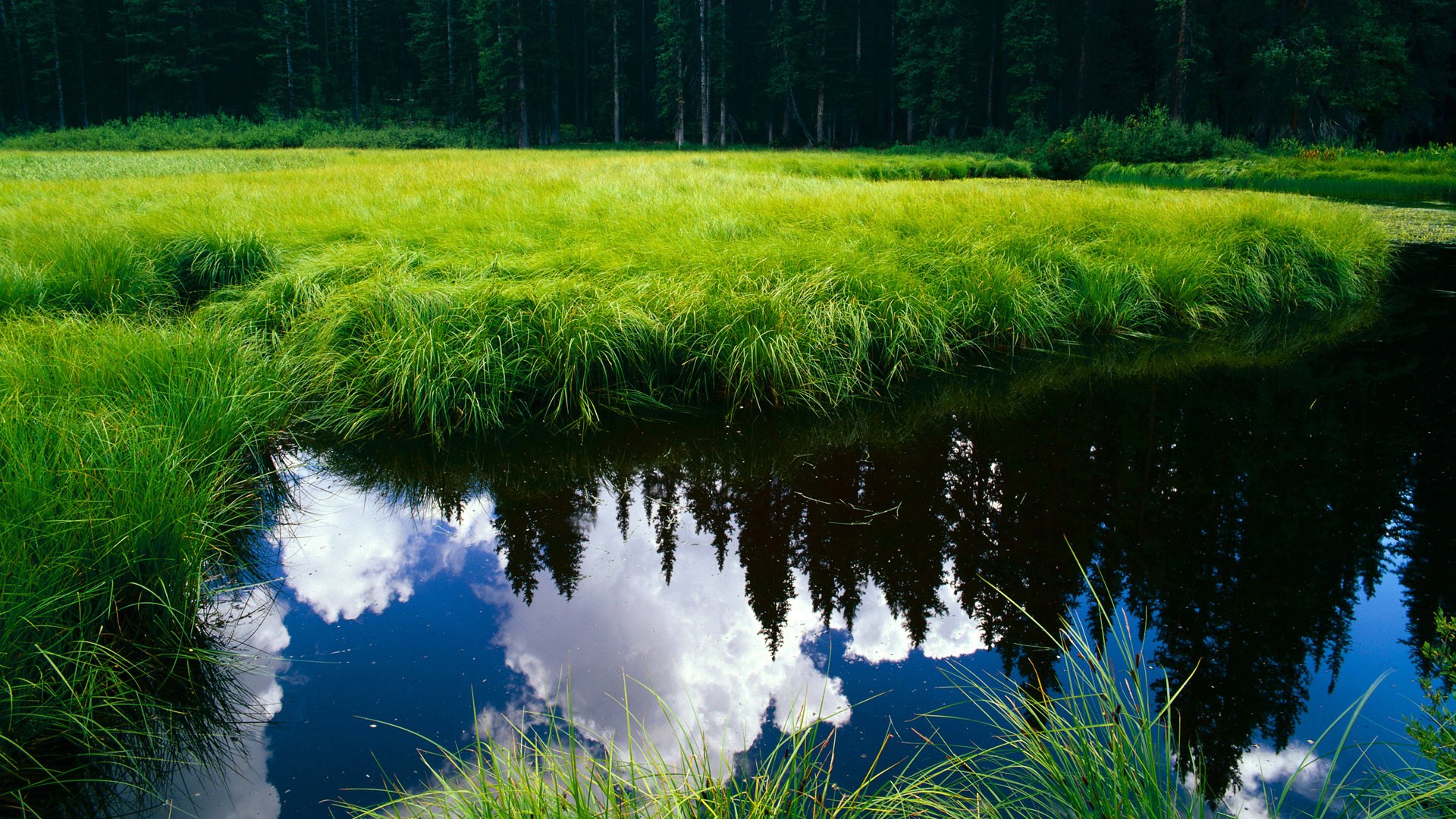 绝境四分钟,范弗利特从罪人到救世主的2026世界杯之夜