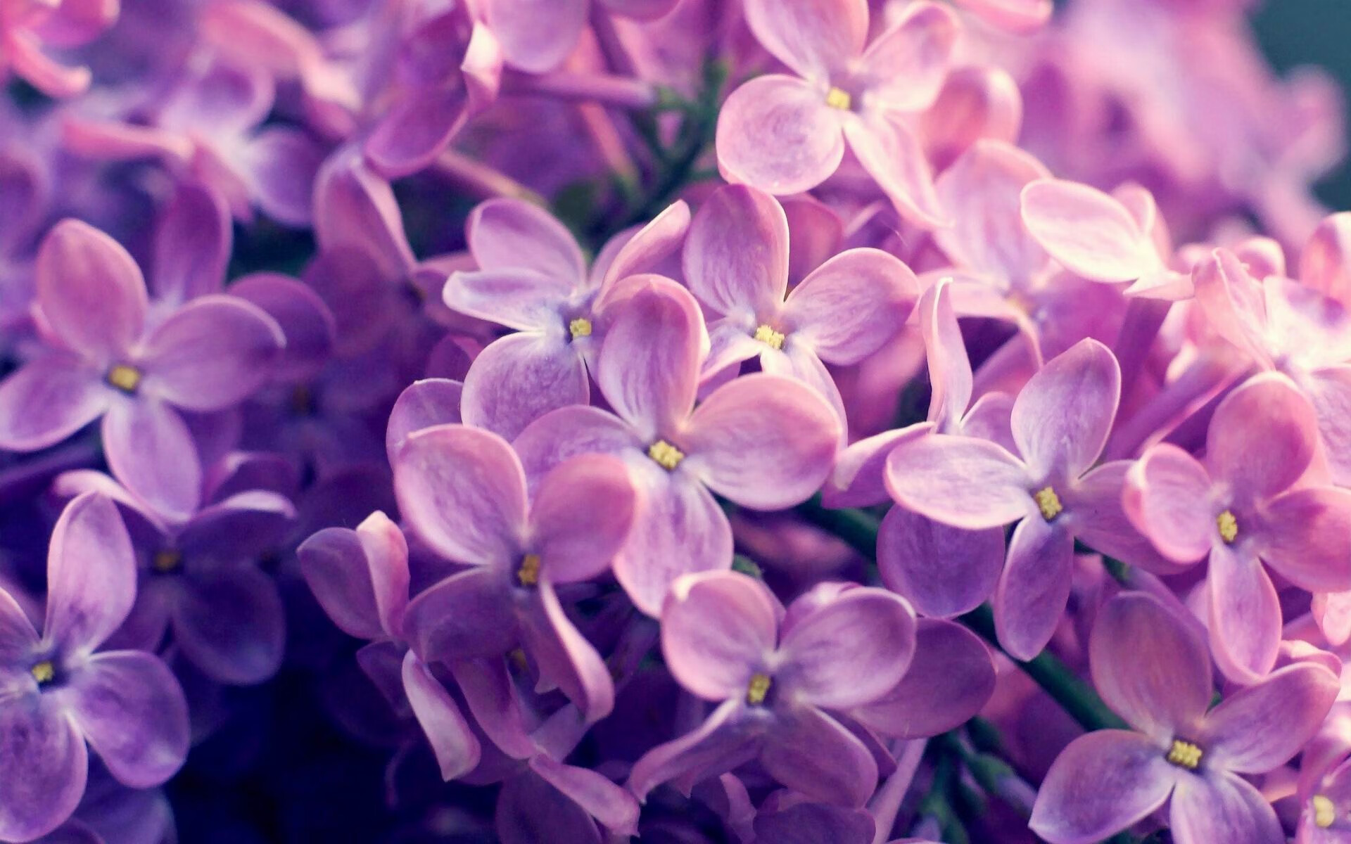 从寂静中诞生的轰鸣